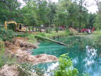 7-4-16 Last Pine Felled in the Pond.jpg