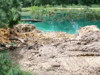 7-4-16 Huge Sweetgum Hole.jpg