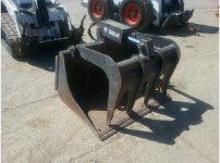 bobcat 36.jpg