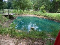 7-4-16 Small Pond Draining.jpg