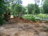 7-4-16 Last Two Pine Trees Down.jpg