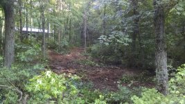 IMG_20160629_082606054[1].jpg