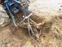 stump_pulling.jpg