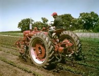 Farmall M with cultivator.jpg