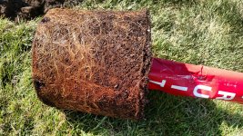 Root Bound.jpg
