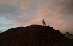 King of the castle.jpg King of the castle.jpg