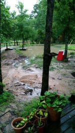 5-27-16 Small Pond Friday morning.jpg 5-27-16 Small Pond Friday morning.jpg