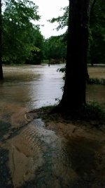 5-26-16 Thur Flood Already Down One Foot.jpg 5-26-16 Thur Flood Already Down One Foot.jpg