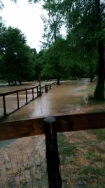5-26-16 Duck Fence Bowing To Water Pressure.jpg 5-26-16 Duck Fence Bowing To Water Pressure.jpg