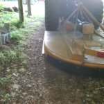 IMG_20160710_200824.jpg