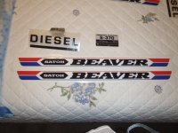 Satoh Beaver Partial Decal Set.JPG