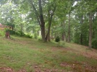 IMG_0293.jpg IMG_0293.jpg