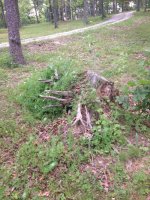 IMG_0294.jpg IMG_0294.jpg