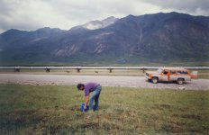 Alaska Pipeline Seismic.jpg