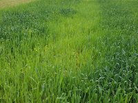 20160430_162838.jpg