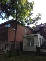 image-3380561964.jpg