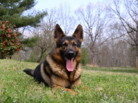 image-1280177225.png
