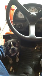 20160309_095514.jpg