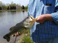 633126-dadfish3.jpg