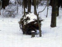 789235-IMG_1091.jpg