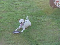 752317-DSC00003.JPG