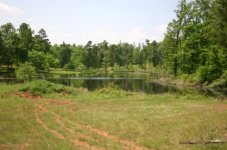 633503-Pondsite1.jpg