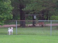 752319-DSC00031.JPG