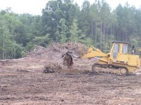 715922-Removing Stumps 078 (Small).jpg