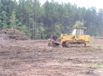 715923-Removing Stumps 081 (Small).jpg
