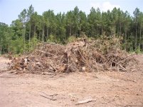 715928-Removing Stumps 054 (Small).jpg