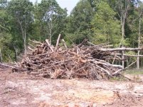 715933-Removing Stumps 053 (Custom).jpg