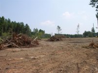 715937-Removing Stumps 052 (Small).jpg