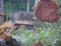 716751-MVC-031S.JPG
