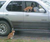 677985-NYStandoff (Medium).jpg