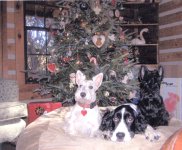720529-Xmas.jpg