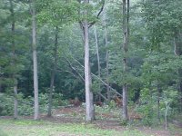 716785-MVC-062S.JPG