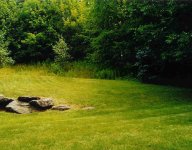 635097-A once a lawn.jpg