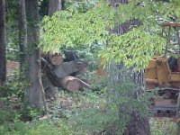 716791-MVC-070S.JPG