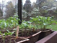 635250-MVC-005F.JPG