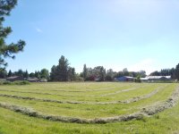 20160603_164349.jpg