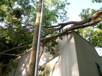 4-27-16 Limbs on Roof.jpg