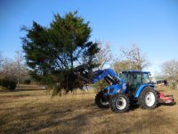 ImageUploadedByTractorByNet1457570968.619357.jpg