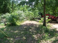 4-29-16 Dragging Tree Out Of Pond.jpg 4-29-16 Dragging Tree Out Of Pond.jpg