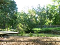 4-27-16 Tree Fell Over Pond on Highline.jpg