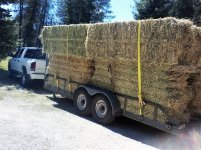 hay load 1.jpg