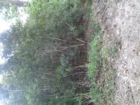20160821_145955.jpg