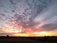 IMG_20160823_055201.jpg