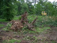 6-4-16 New Burn Pile.jpg 6-4-16 New Burn Pile.jpg