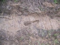 6-4-16 My Footprint After CAT Footprint.jpg