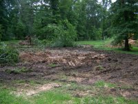 6-4-16 New Burn Pile Taking Shape.jpg 6-4-16 New Burn Pile Taking Shape.jpg